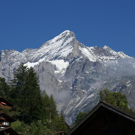 Apartment Baereggblick - Griwa Rent Ag Grindelwald Kültér fotó