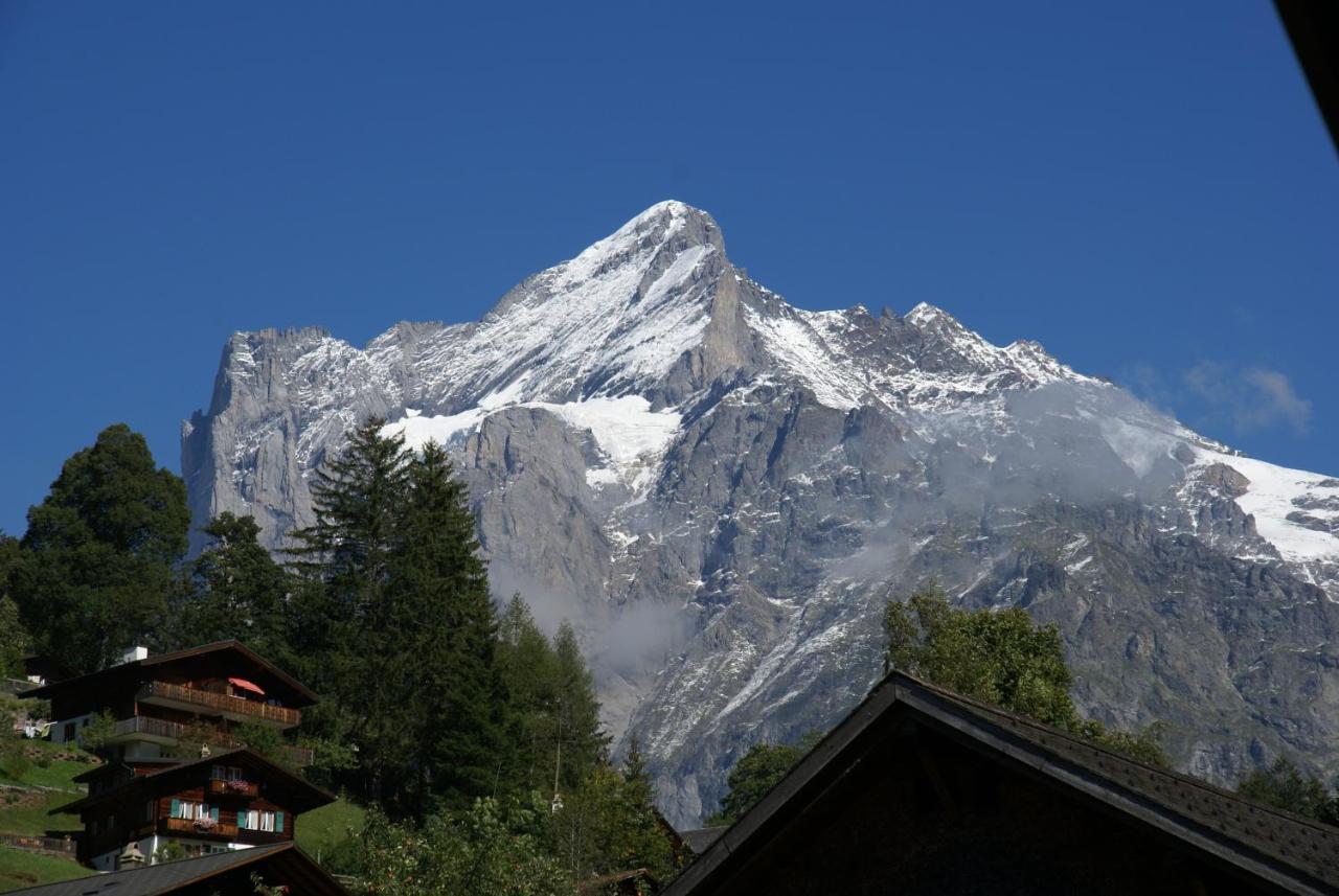 Apartment Baereggblick - Griwa Rent Ag Grindelwald Kültér fotó